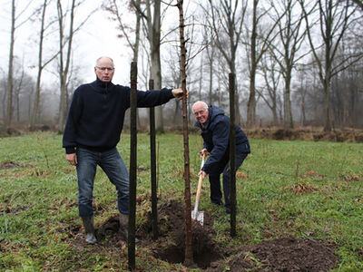 aanplant-bomen-met-bijdrage-kl