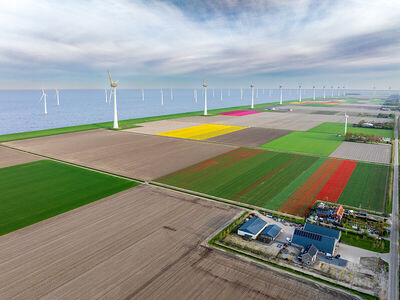 windmolens in de polder